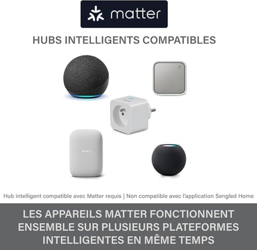 Prise intelligente Sengled, compatible Matter, fonctionne avec Alexa