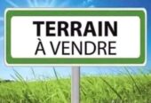 TERRAIN BORDURE ROUTE-MER JACQUEVILLE